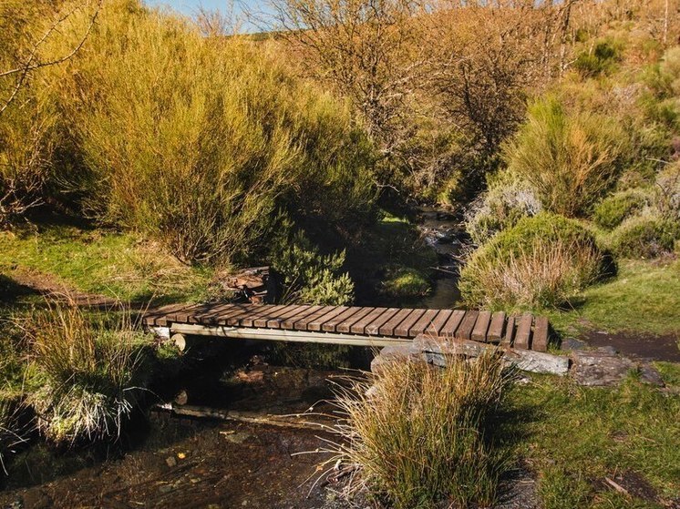 Неизвестный повредил мост через реку на Алтае