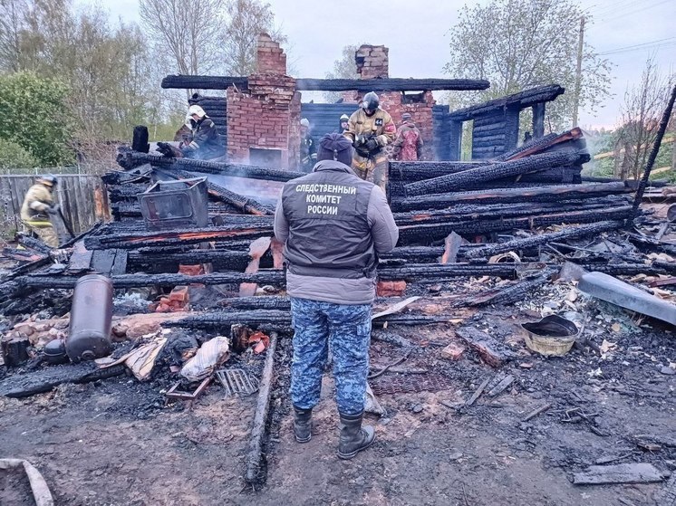 Во время страшного пожара в деревне в Тверской области погибли два человека