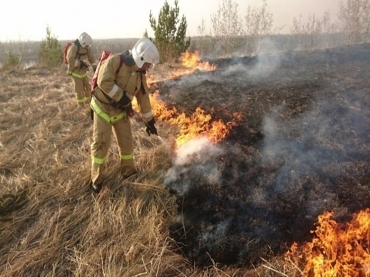 В Ростовской области 9 мая объявили о чрезвычайной пожароопасности