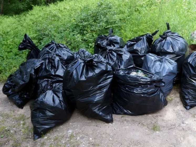 В Ярославле предложили мусорную новацию для частного сектора