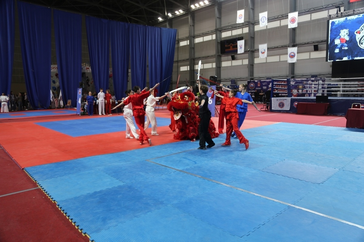 РСБИ: семилетняя спортсменка установила мировой рекорд по отжиманиям от пола