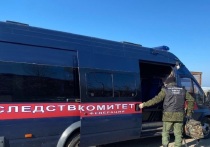 Центральный аппарат СКР запросил материалы уголовного дела, возбужденного после нападения на автомобиль скорой помощи в Екатеринбурге