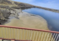 Жители Нерчинска требуют приостановить работу компаний «Рудник Апрелково» и «Золото Востока» из-за загрязнений реки Нерчи