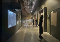 В Еврейском музее и Центре толерантности открылась выставка о Великой Отечественной
