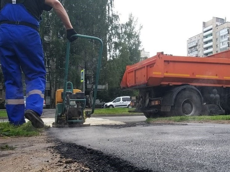 На рынке труда Петербурга резко сократилось число соискателей из Таджикистана и Узбекистана