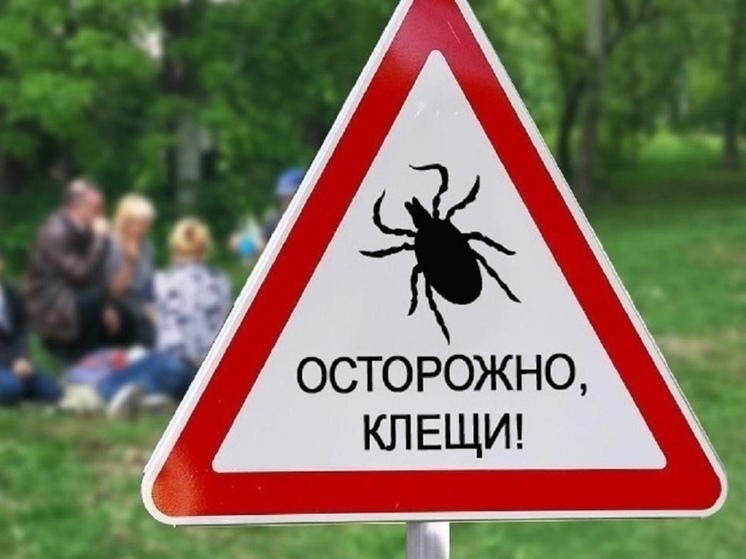 Пункты серопрофилактики в Томске круглосуточно принимают горожан после нападения клещей