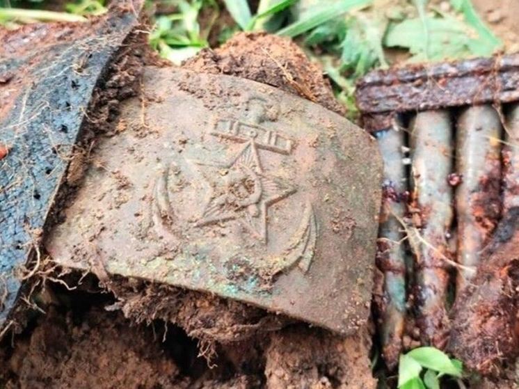 В Кингисеппском районе поисковики подняли останки краснофлотца