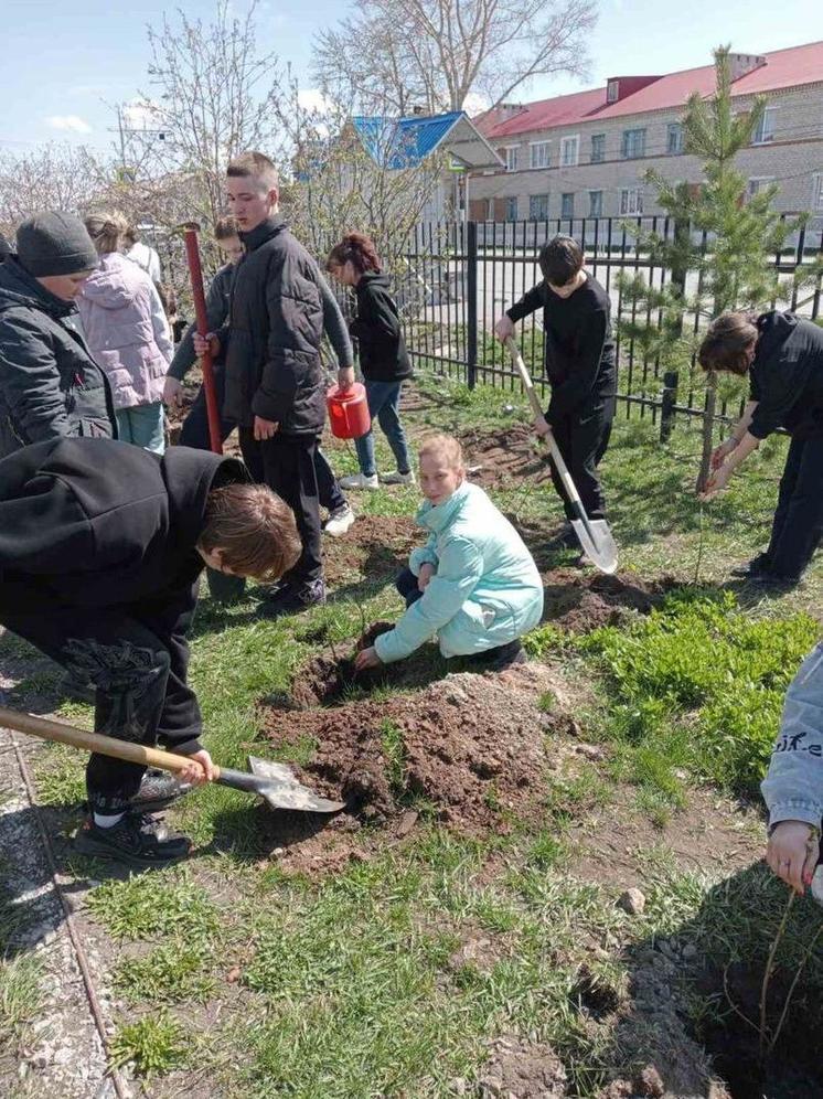 В сельской школе Тюменской области появился Сад Памяти