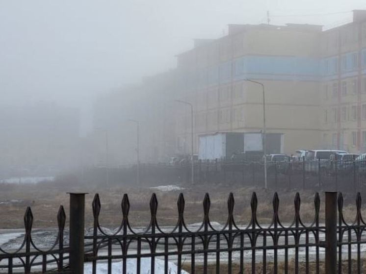 Туман возможен на побережье Чукотки в пятницу