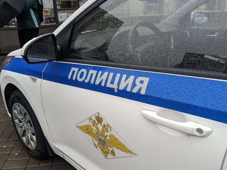 В Хакасии пьяная компания заступилась за угонщика и попала в полицию