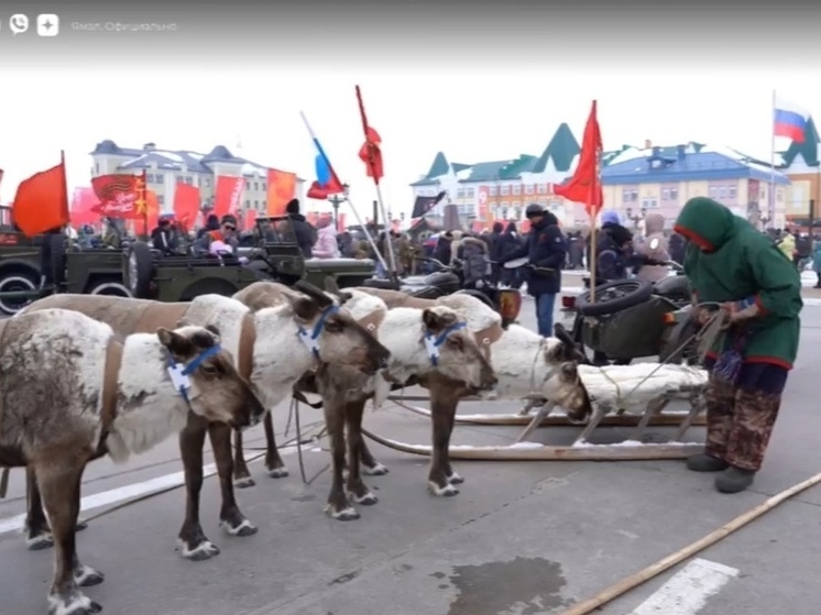 На Ямале на парад в День Победы впервые вышли олени