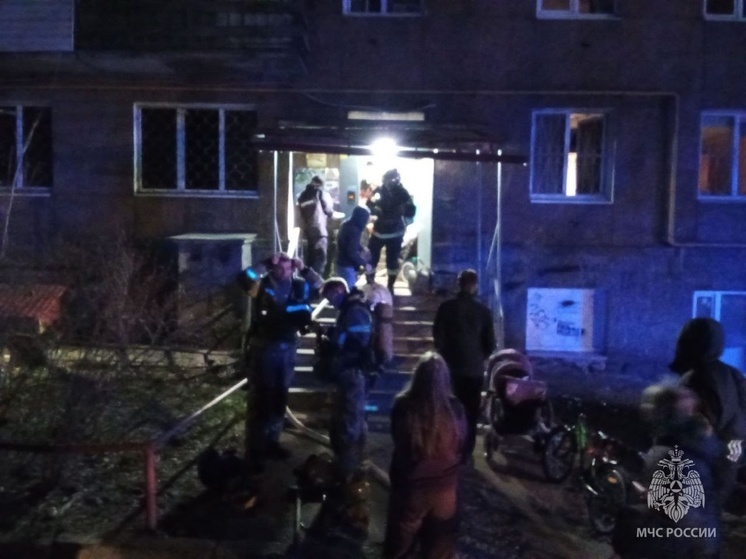 Детей из горящей квартиры в Петрозаводске выводили по автолестнице (ШОК-ФОТО)