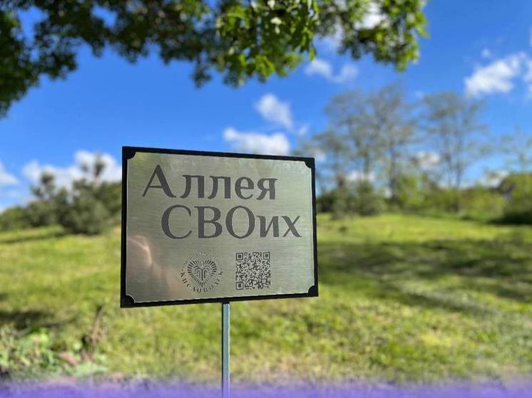В Кисловодске появилась кленовая «Аллея СВОих» в честь бойцов СВО
