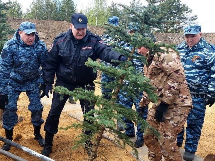 Владимирские правоохранители высадили ели на "Аллее памяти"