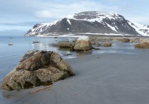 На арктическом архипелаге Шпицберген появилась редкая возможность приобрести участок земли размером с Манхэттен.