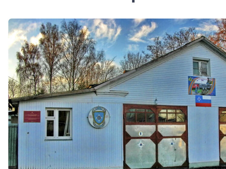 Произошел пожар в частном доме в Починковском районе