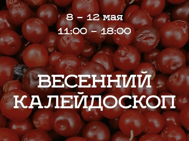 Ароматный мед и авторские сувениры продают на ярмарке в Ноябрьске