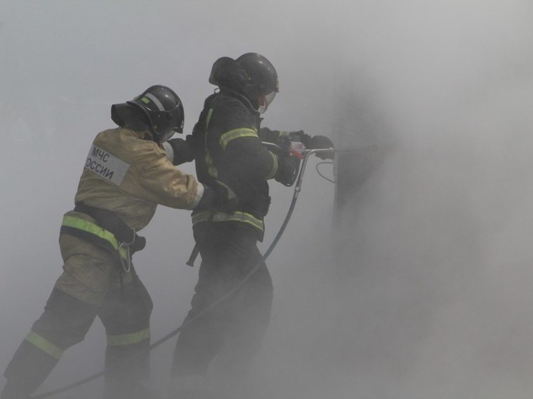 Пожар, прошедший почти пять километров по фронту, потушили в Хабаровске