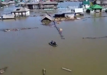 В Усть-Ишимском районе Омской области поднявшейся водой прорвало дамбу. 