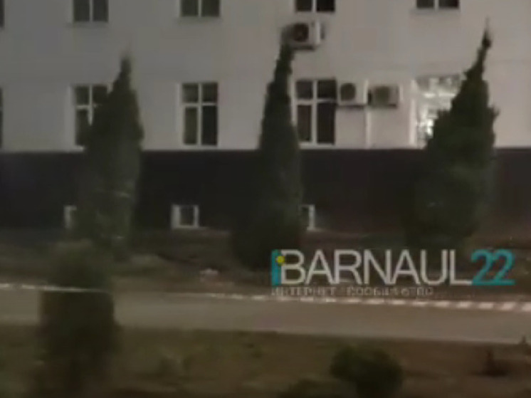 В Барнауле у здания краевого правительства посадили новые деревья
