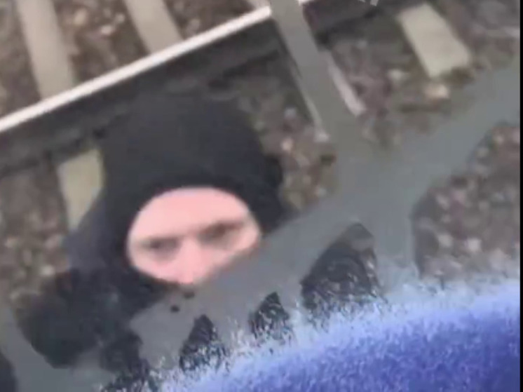 В Подмосковье вандалы обрисовали электричку с пассажирами