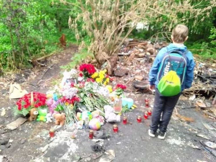 Глава СК поручил возобновить дело о гибели школьника в Раменском