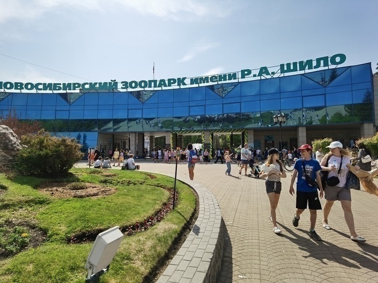 В Новосибирском зоопарке показательно покормят пингвинов и леопарда