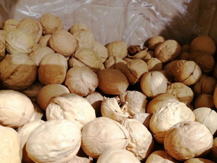 Жителям Ленобласти перечислили продукты долгожителей