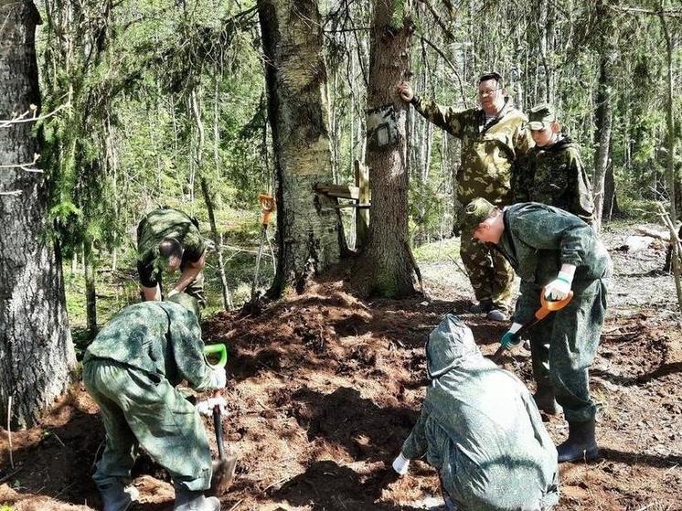 Студенты Великолукского медицинского колледжа помогли поднять бойцов, павших в годы войны