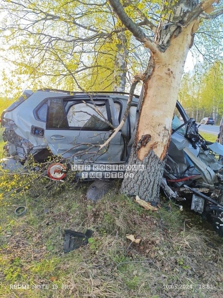 Костромские ДТП: немецкий BMV против русской березы