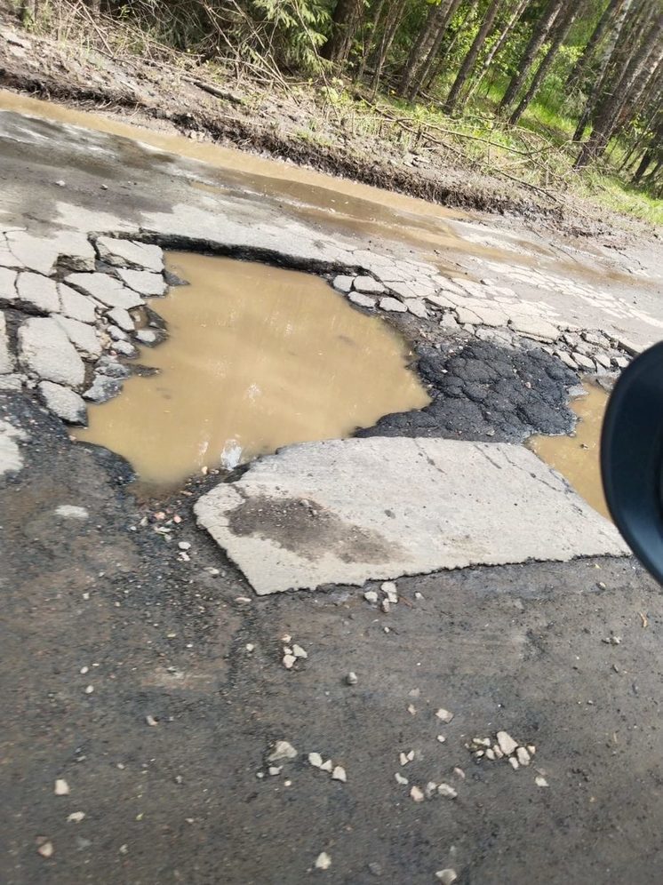 Орловцы просят отремонтировать дорогу к нацпарку «Орловское Полесье»