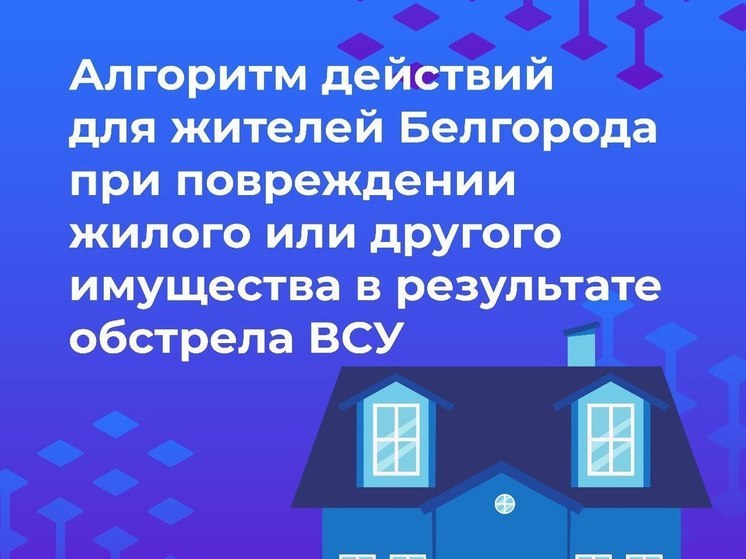 Белгородцам напомнили алгоритм действий при повреждении жилья