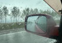 Вся неделя в Хабаровске, судя по прогнозу погоды, выдастся дождливой, а по статистике именно во время осадков вырастает количество дорожно-транспортных происшествий