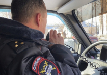 Как сообщили в УМВД России по Приморскому краю, за прошедшие семь дней в полицию поступило 31 обращение, связанное с наркопреступлениями