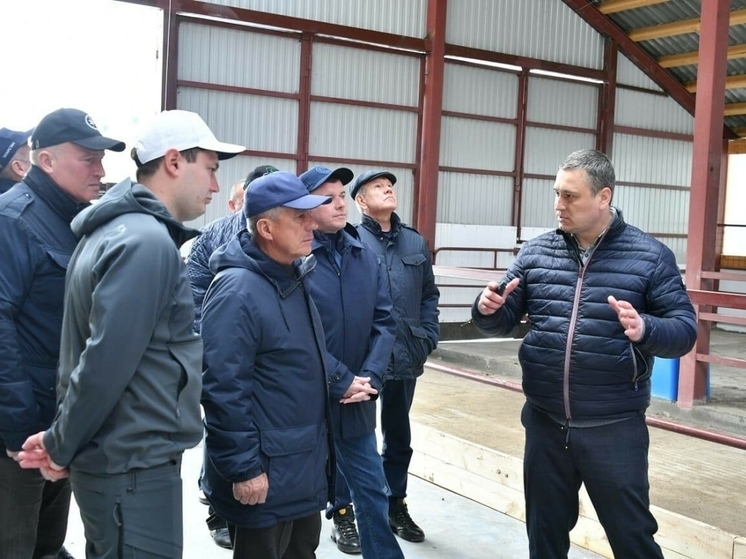 Раис Татарстана посетил новый животноводческий комплекс в Чистопольском районе
