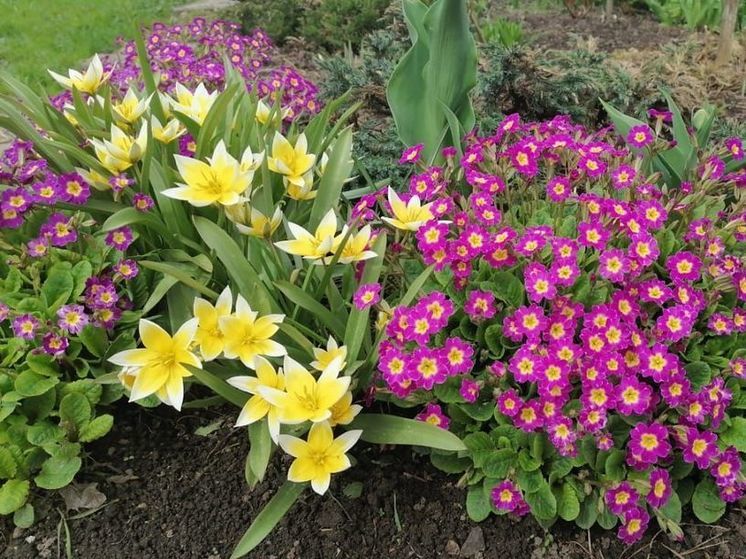 Майское тепло возвращается в Подмосковье