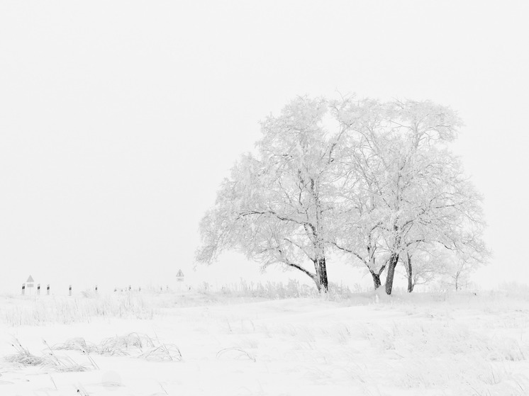 Поселок Красное связали с внешним миром судном на воздушной подушке