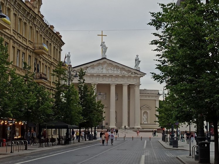 Завершилось голосование на выборах президента Литвы - явка составила 59,4%