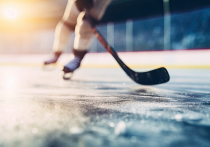 В Международной федерации хоккея (IIHF) пригрозили санкциями за попытку пронести российский флаг на чемпионат мира по хоккею 2024 года