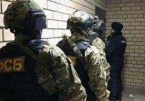 В Приморском крае сотрудники ФСБ задержали местного жителя, которому вменяют сотрудничество с ГУР минобороны Украины и подконтрольной националистической организацией