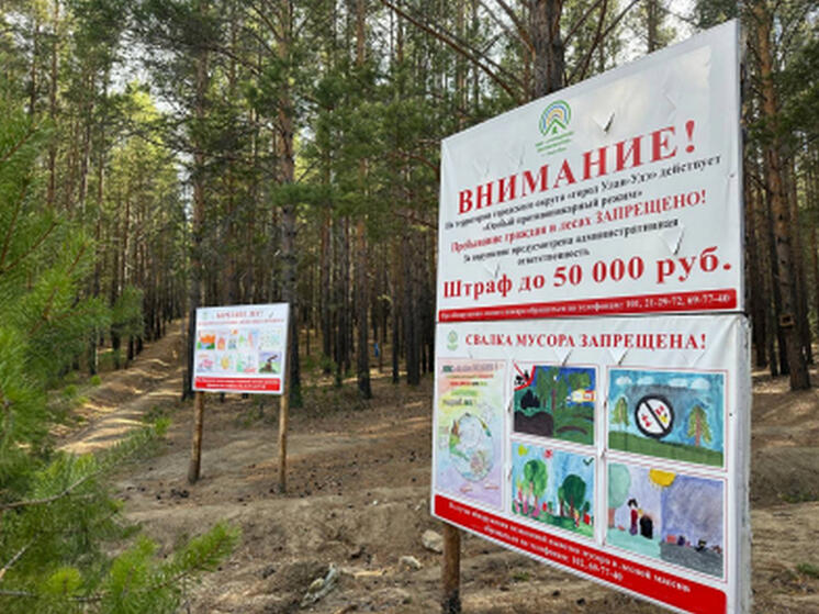 В Бурятии задержан подозреваемый в лесном пожаре