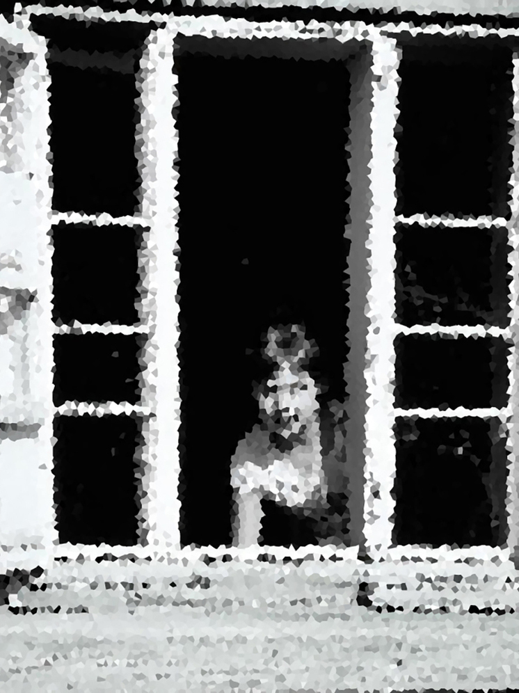 В Вилючинске девочка вышла из окна погулять