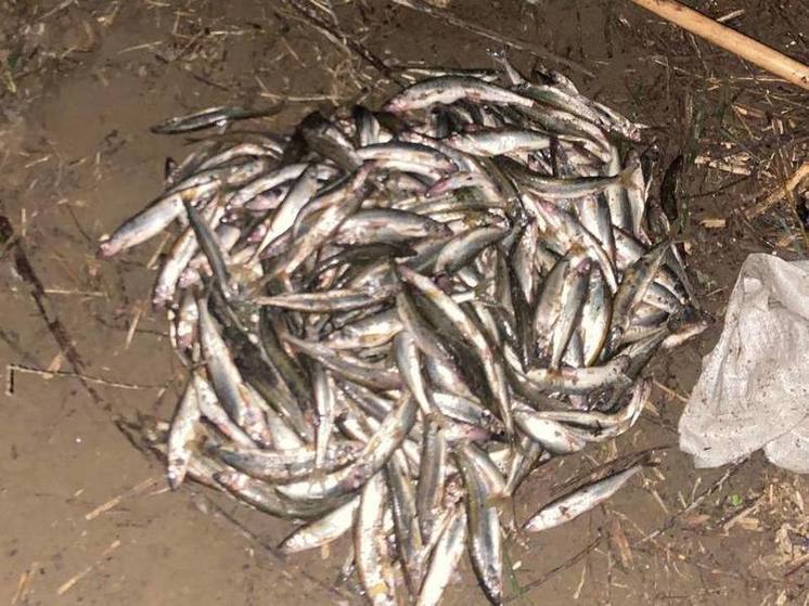 За незаконный вылов корюшки задержаны два сахалинских рыбака