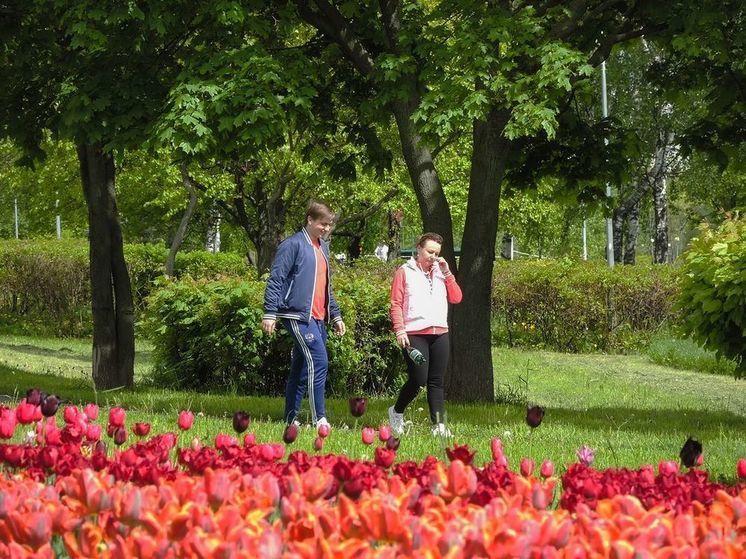 В Гидрометцентре России спрогнозировали возвращение тепла к концу недели