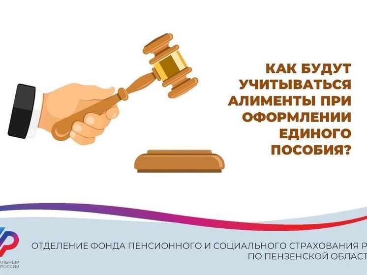 Пензенцев предупредили об изменениях по учету алиментов для единого пособия