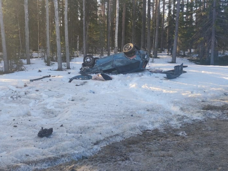 Водитель в Карелии едва не убил двух юных пассажиров