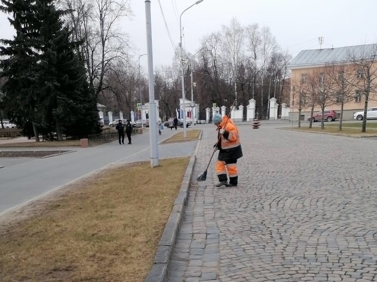 Власти Петрозаводска обещали закрыть вопрос с уборкой смета до середины июня