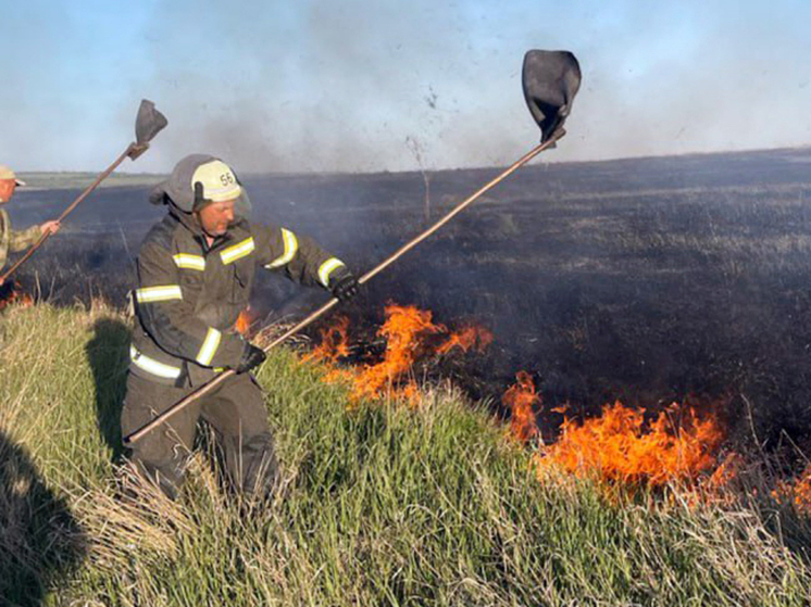 Почти 110 гектаров территории в ЛНР уничтожены огнем за двое суток