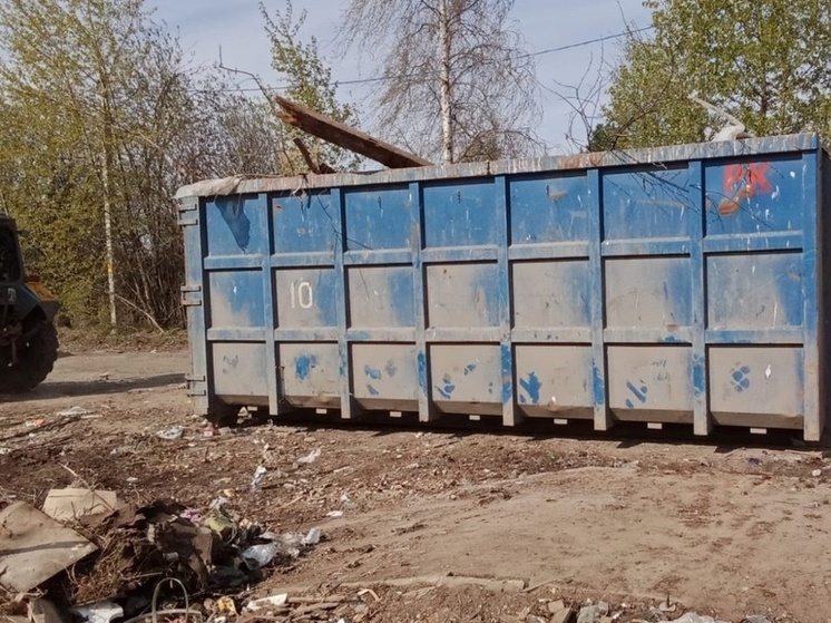 Все точки несанкционированных свалок намерены выявить в Вологде