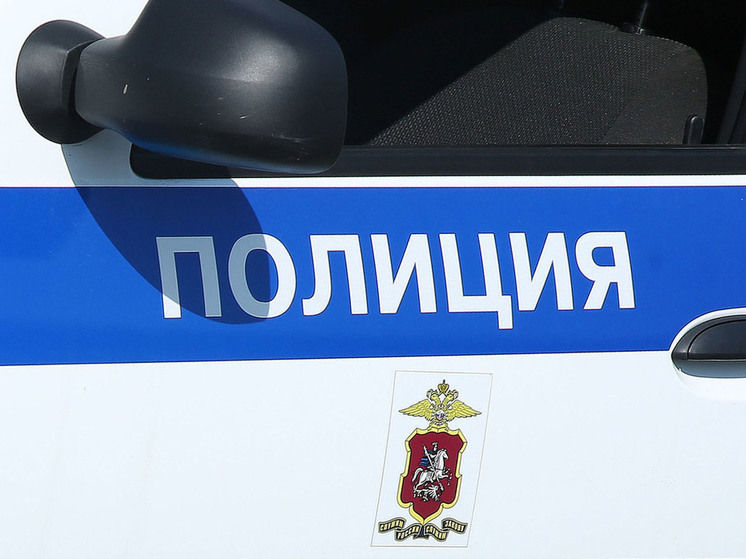 Сотрудники правоохранительных органов Санкт-Петербурга задержали подозреваемого в убийстве и расчленении тела женщины
